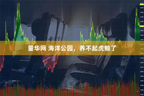 量华网 海洋公园，养不起虎鲸了