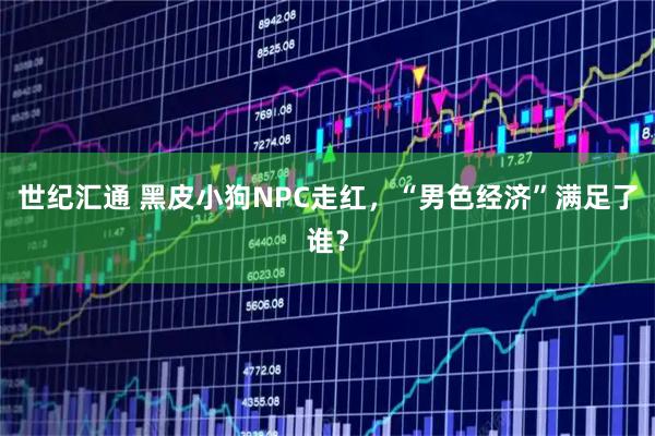 世纪汇通 黑皮小狗NPC走红，“男色经济”满足了谁？