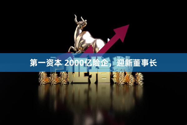第一资本 2000亿险企，迎新董事长