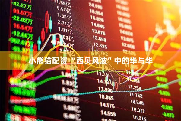 小熊猫配资 “西贝风波”中的华与华