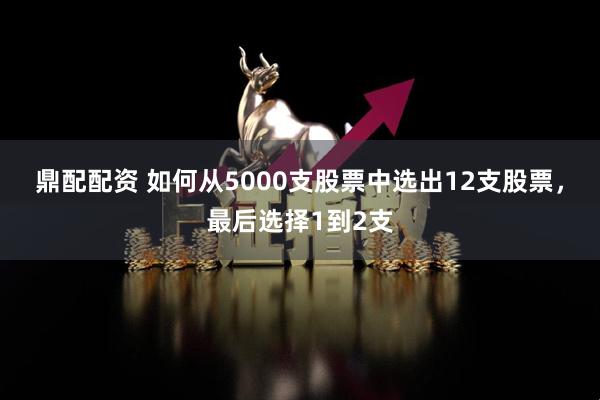 鼎配配资 如何从5000支股票中选出12支股票，最后选择1到2支