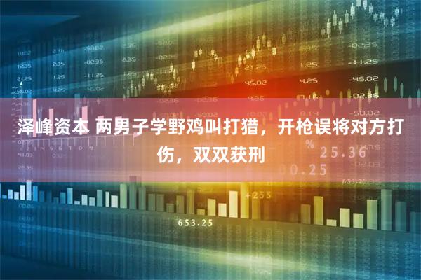 泽峰资本 两男子学野鸡叫打猎，开枪误将对方打伤，双双获刑