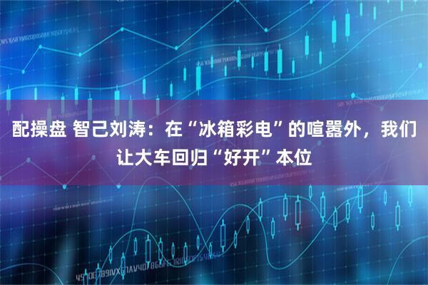 配操盘 智己刘涛:在“冰箱彩电”的喧嚣外,我们让大车回归“好开”本位