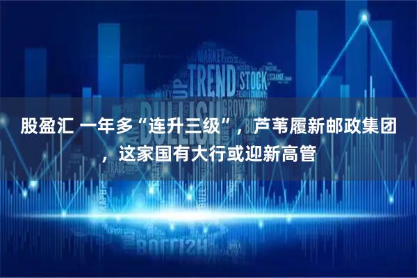 股盈汇 一年多“连升三级”，芦苇履新邮政集团，这家国有大行或迎新高管