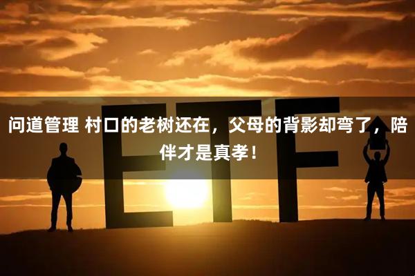 问道管理 村口的老树还在，父母的背影却弯了，陪伴才是真孝！