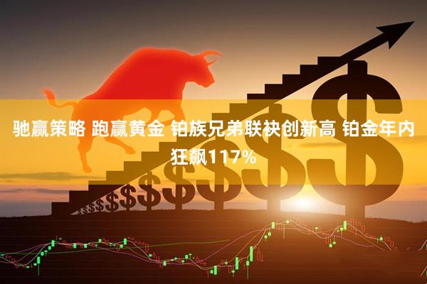 驰赢策略 跑赢黄金 铂族兄弟联袂创新高 铂金年内狂飙117%