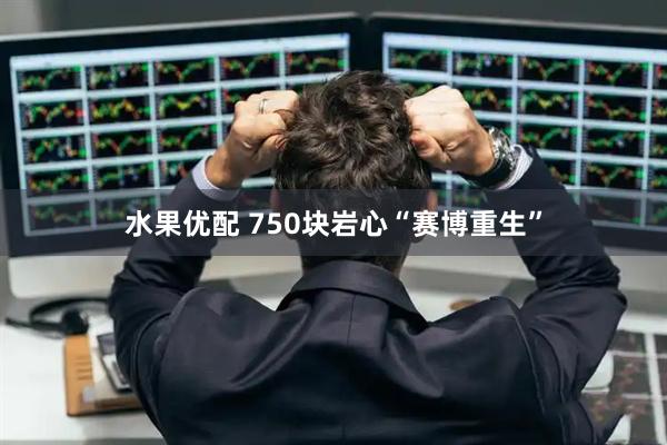 水果优配 750块岩心“赛博重生”