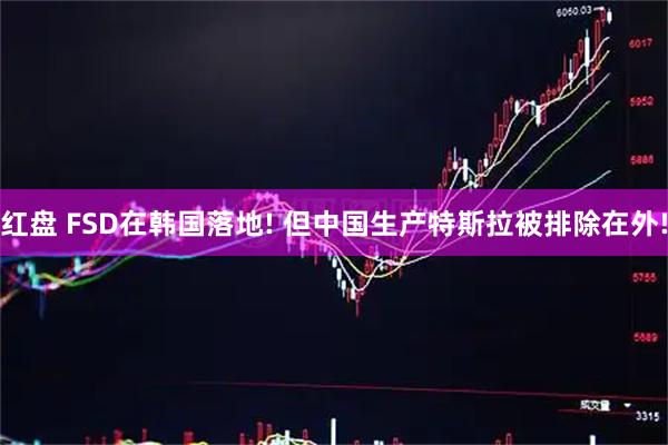 红盘 FSD在韩国落地! 但中国生产特斯拉被排除在外!